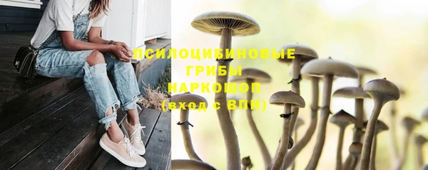 эйфоретик Зерноград