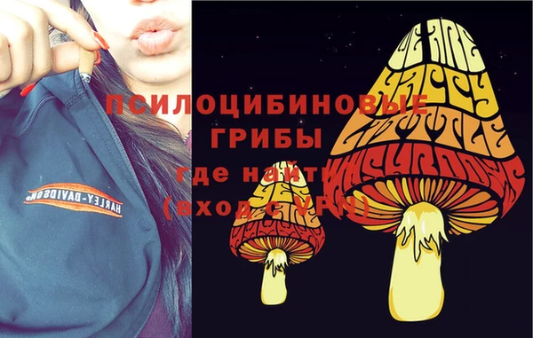 сатива Зеленодольск