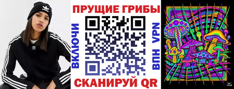купить  сайты  Тында  Псилоцибиновые грибы мухоморы 