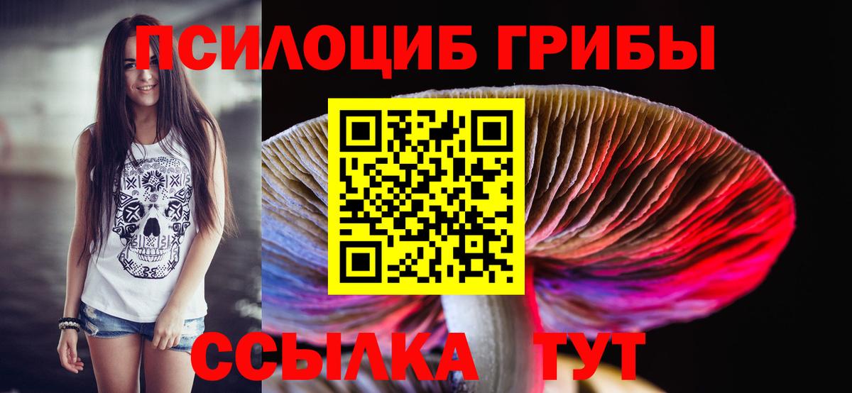 Тында  Псилоцибиновые грибы GOLDEN TEACHER  Вход с VPN 